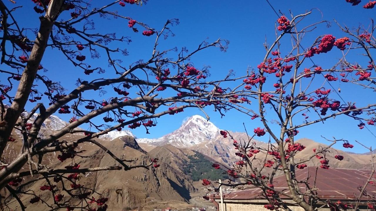 Guest House Tamta Kazbegi Ngoại thất bức ảnh